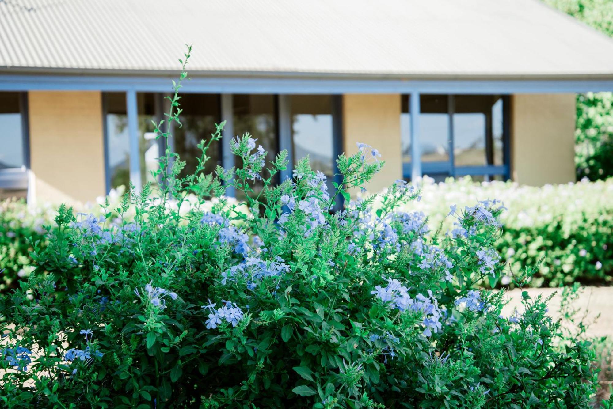 Tranquil Vale Vineyard Hotel Luskintyre Buitenkant foto