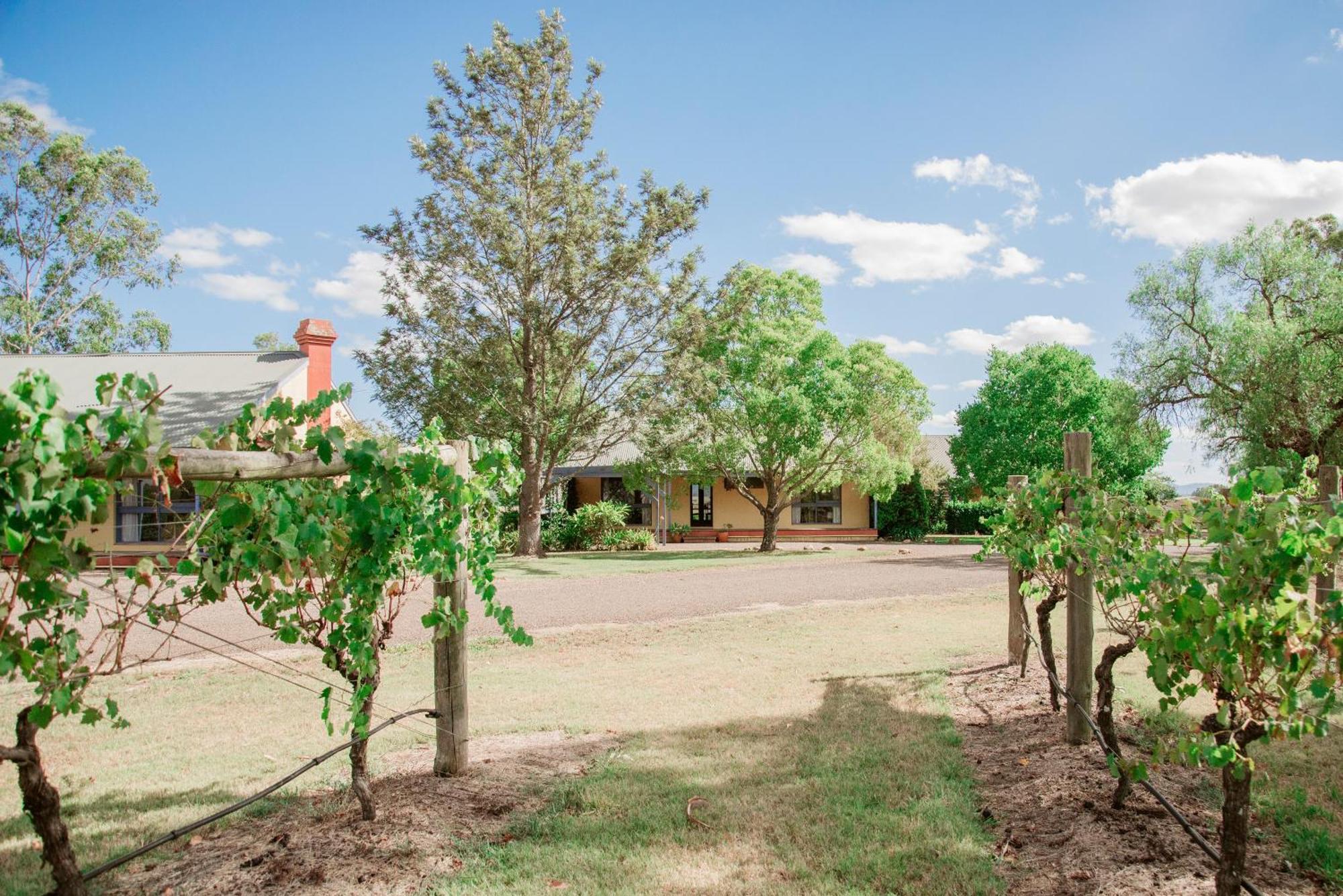 Tranquil Vale Vineyard Hotel Luskintyre Buitenkant foto