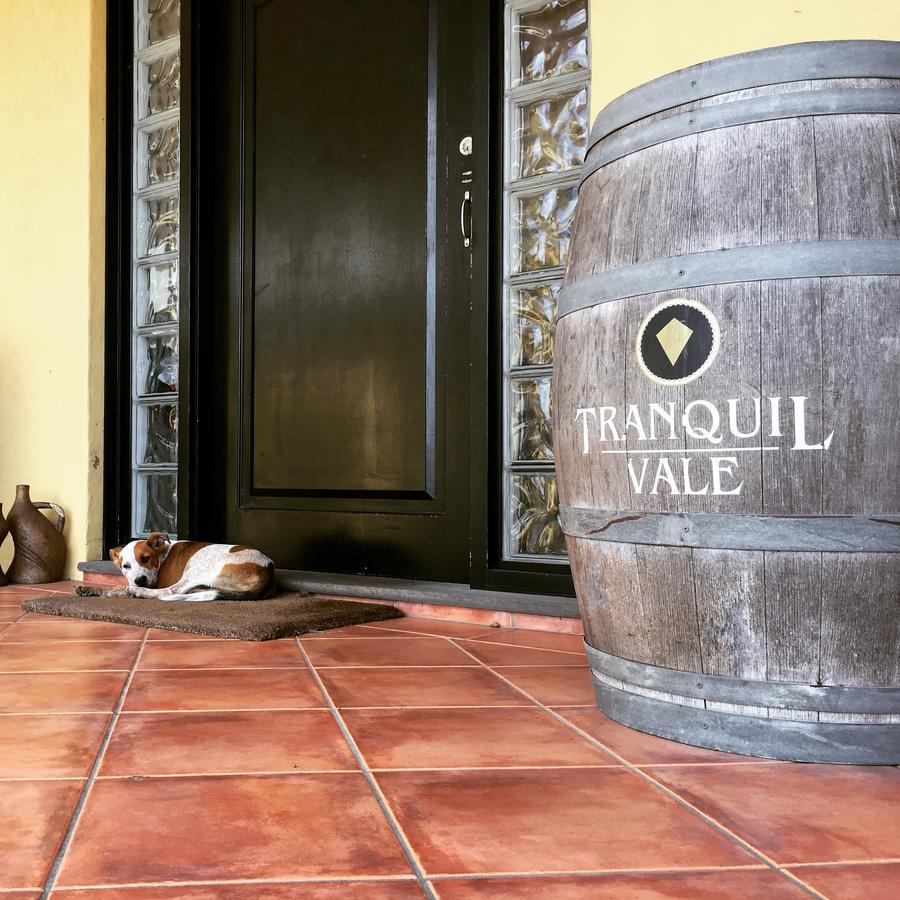 Tranquil Vale Vineyard Hotel Luskintyre Buitenkant foto
