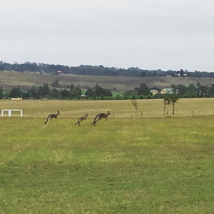 Tranquil Vale Vineyard Hotel Luskintyre Buitenkant foto