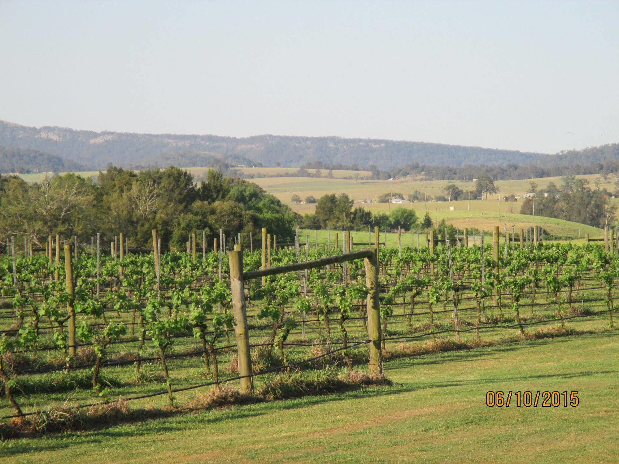 Tranquil Vale Vineyard Hotel Luskintyre Buitenkant foto