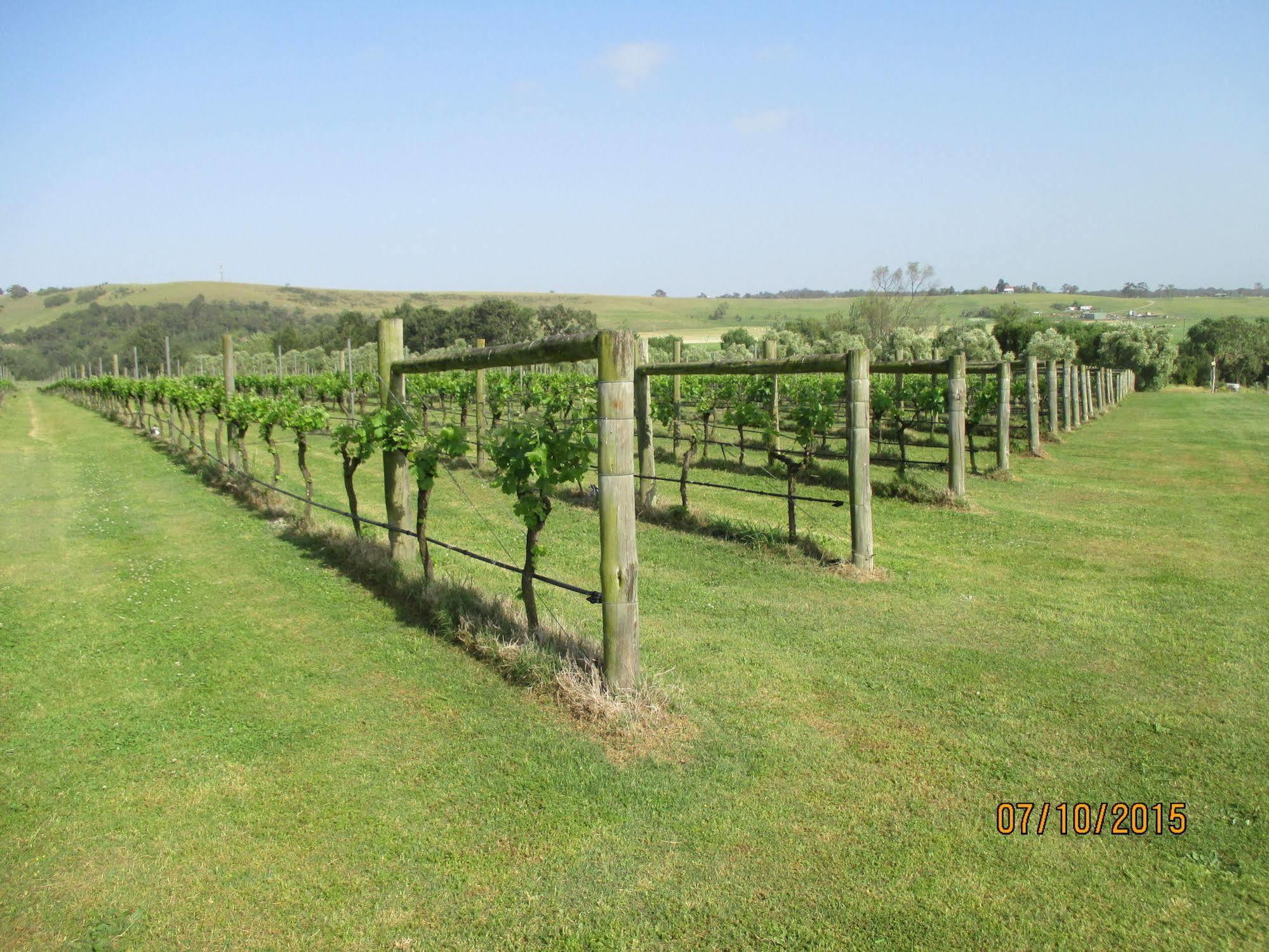 Tranquil Vale Vineyard Hotel Luskintyre Buitenkant foto